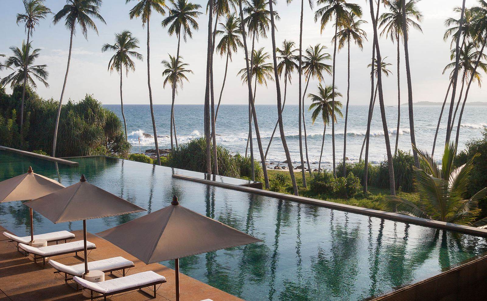 Infinity pool and coconut grove above the beach at Amanwella in Tangalle, the cheapest beach Aman resort